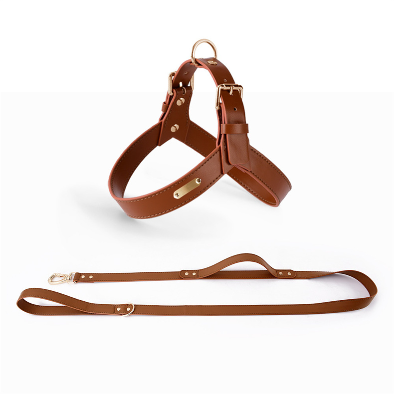 Detail-04 brand luxury pu leather dog collar and leash.jpg